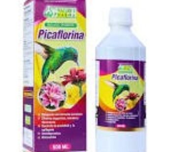 Picaflor a Jarabe