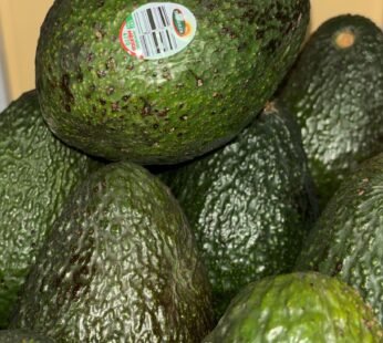 Produce Aguacate unidad