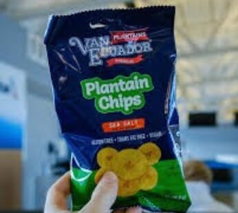 plantain chip van ecuador 2.5oz