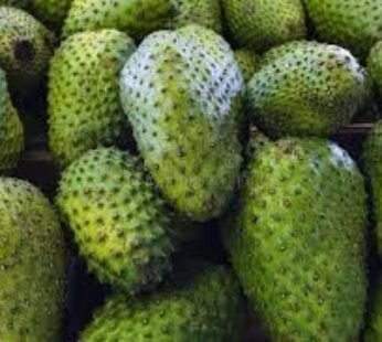 Guanabana fresca