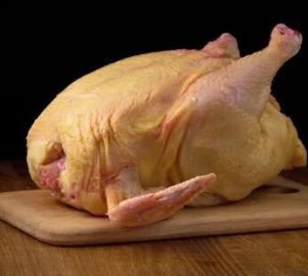 pollo de granja
