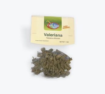 Valeriana Fabi Saa